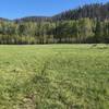 Doe Creek Trail, Meadow section looking southeast