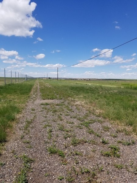 Looking back North from Buckley Road. You can see how overgrown the trail is becoming, as well as a good-sized Prairie Dog mound. They hide long before you approach their dens.