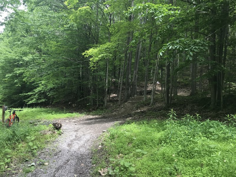 Intersection of Kinzua Point going straight, Blacksnake trail exit, and Devil's Drop trail up to the right.