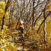 Bicentennial trail in the fall!