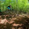 Bagadonuts sending the step-down on Double Black Sabbath at Cedar Valley Bike Park in Davidson, NC.