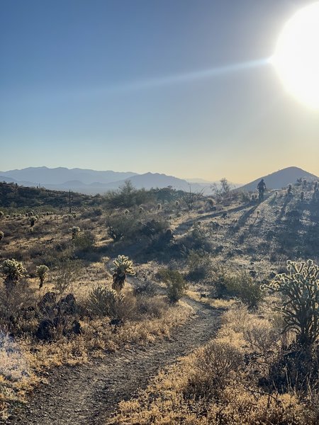 Sunrise from Great Horned Owl