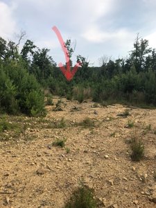 East side singletrack entrance.