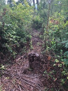 Briar Gulch
