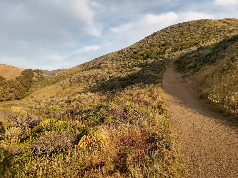 Part of the trail before sunset.