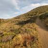 Part of the trail before sunset.