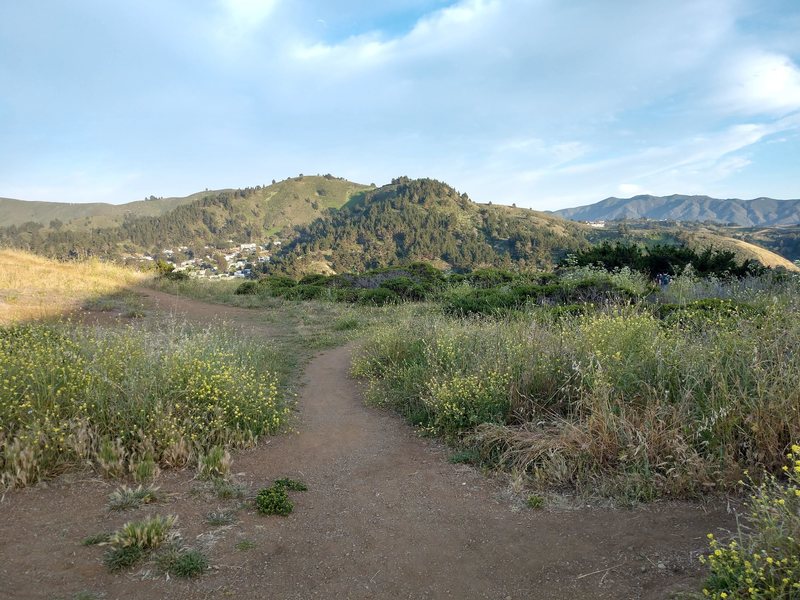 Part of the trail before sunset.