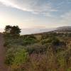 Part of the trail before sunset, overlooking the Pacifica Municipal Pier.