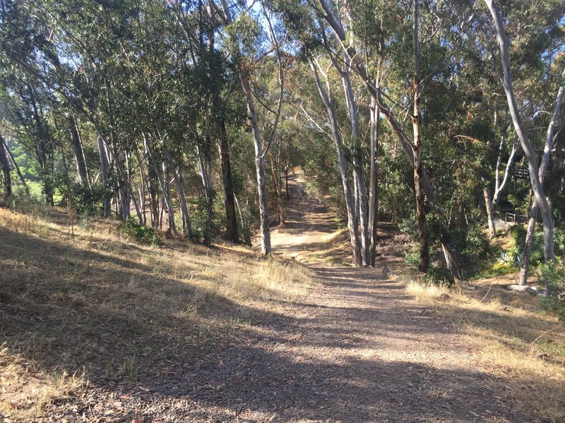 One of three small canyon dips, looking north.