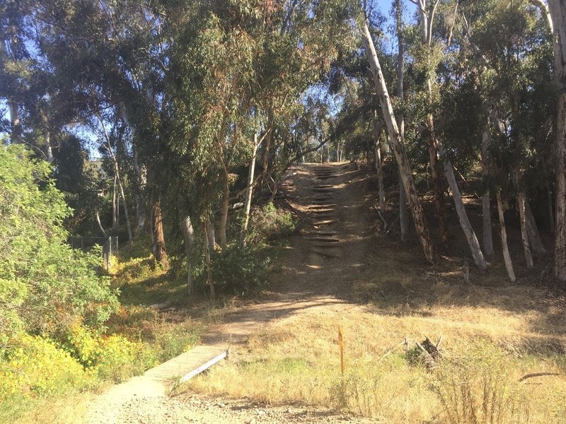 Southernmost canyon dip. Steep, with cobbles and stairs. Looking south.