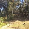 Southernmost canyon dip. Steep, with cobbles and stairs. Looking south.