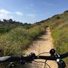 Florida Canyon singletrack, looking north.