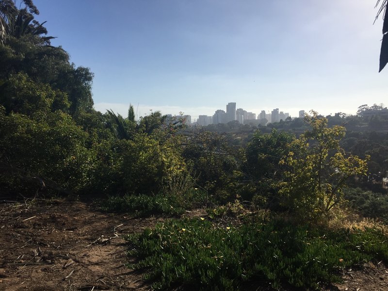 Late afternoon view of downtown San Diego from Golden Hill Park, looking southwest.