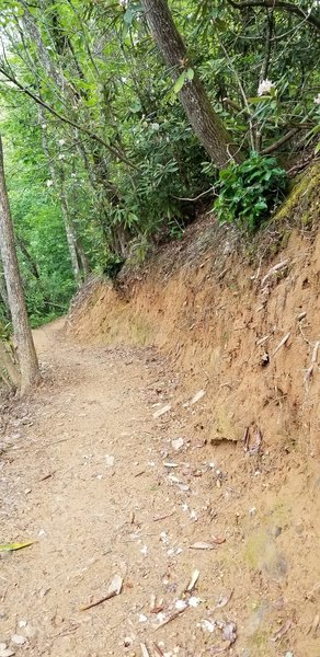 Well-paved trail.