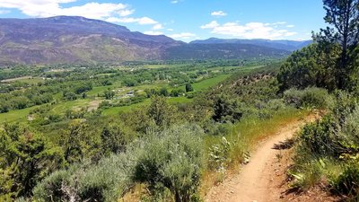 The view of the Roaring Fork Valley coming down the Buckhorn  side.