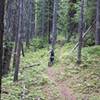 Flowing section near top of singletrack ... but steeper than it looks!