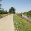 Also known as the Fern Ridge Trail/Path.