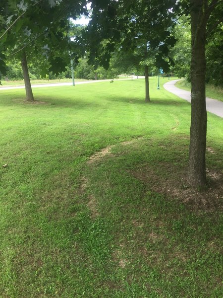 Trail in the grass that runs alongside the Dogwood Trail.