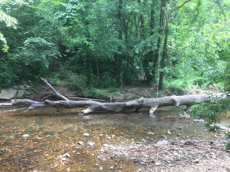 Sager Creek runs next to the Strider and Dogwood Trails.