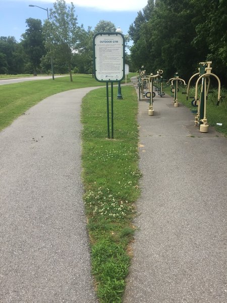 Outdoor gym on the Dogwood Trail.