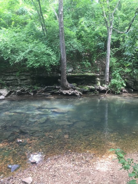 Sager Creek visible from the Dogwood Trail.