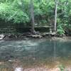 Sager Creek visible from the Dogwood Trail.