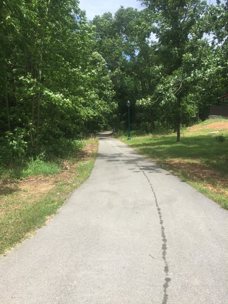 Facing north downhill on the later added section of the Dogwood Trail.