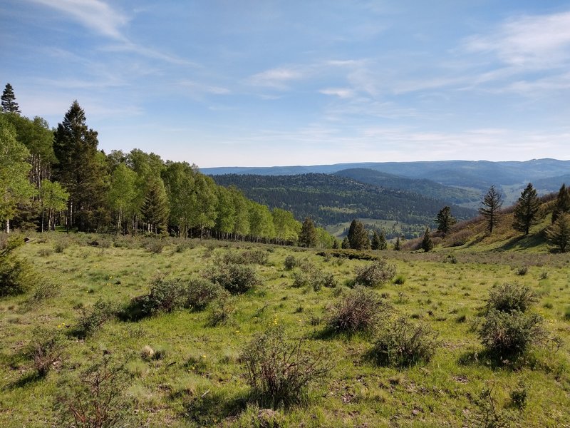 View looking south from trail.