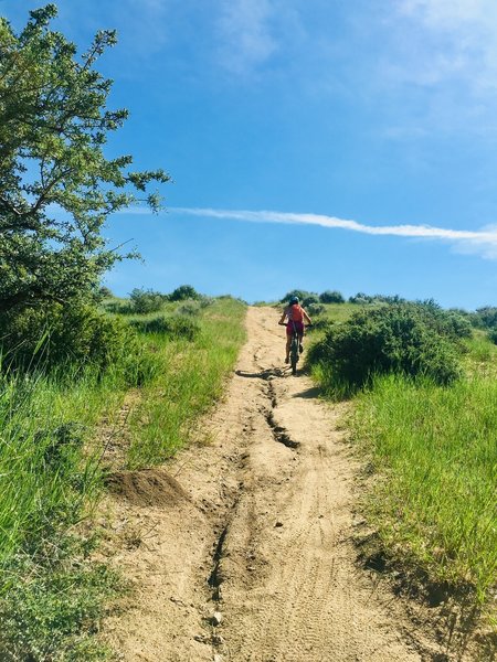 Lots of grit testing hills. This one is in the middle section of hard climbs