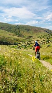 Smooth trail through tall grass after a gnarly rock section.