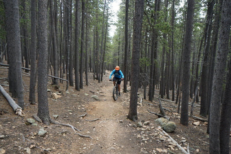 Nearing the top of Cub Creek Trail.