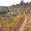 Balboa Park Trail #12 looking south.