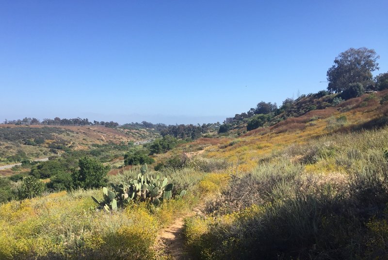 Access to Balboa Park Trail #12 from Park Boulevard.