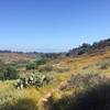 Access to Balboa Park Trail #12 from Park Boulevard.