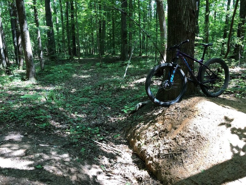 Allatoona discount mtb trails