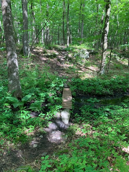 technical descent to stream crossing, right into technical ascent