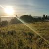 Sunrise at Powell Butte