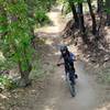 Fun trails at Bear Mountain Bike Park :)