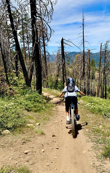 Fun trails at Bear Mountain Bike Park :)