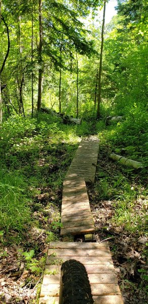 Portion of Blacks Grove Trail