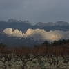 Dentelles de Montmirail. Learn more at Office de Tourisme de Beaumes de Venise.