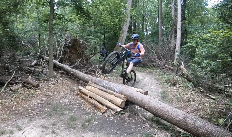 Shredding the logs.