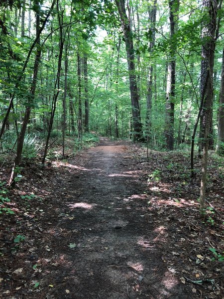 Start of 2nd Infantry Downhill