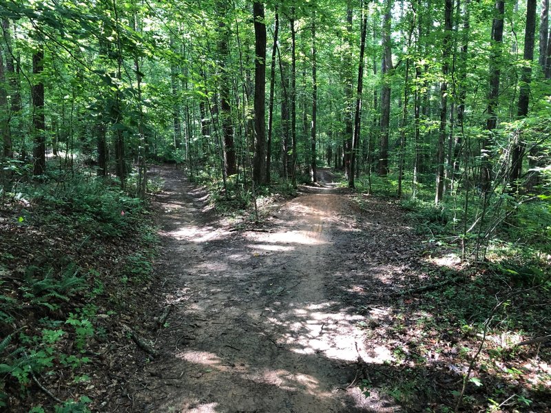 2nd Infantry continues straight. Trail to the left connects riders to 3rd Brigade. Be sure to know daily trail direction.