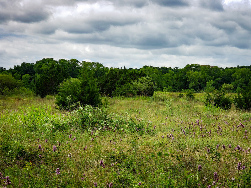 Tennessee Valley Prairie