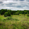 Tennessee Valley Prairie