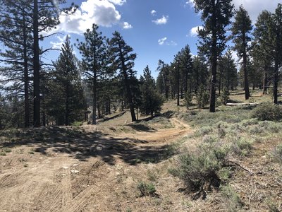 Lots of dirt trails off the paved road to explore.