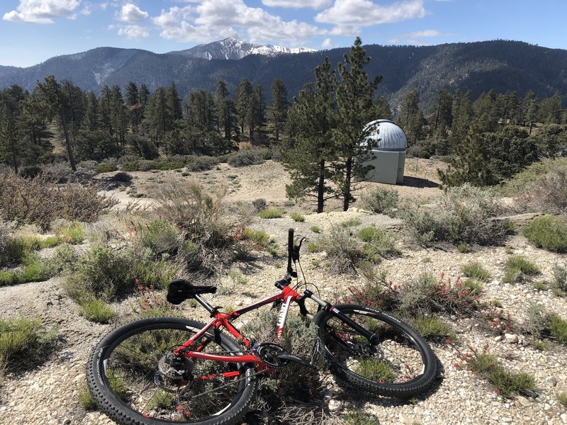 View from the top of the trail.