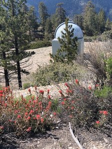 Wildflowers and view from the top of the trail.