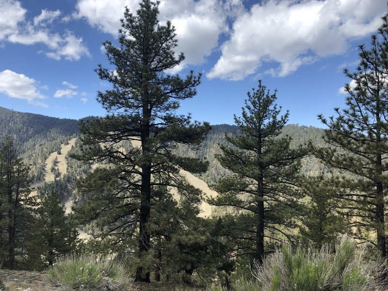 Another view of Mountain High Ski Resort taken from the trail.